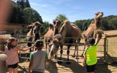Ausflug zur Kisselmühle in Eltville